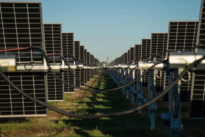 PSD Energy in 2025